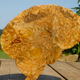 Illustration for article titled This is a tree. Its also a brain.